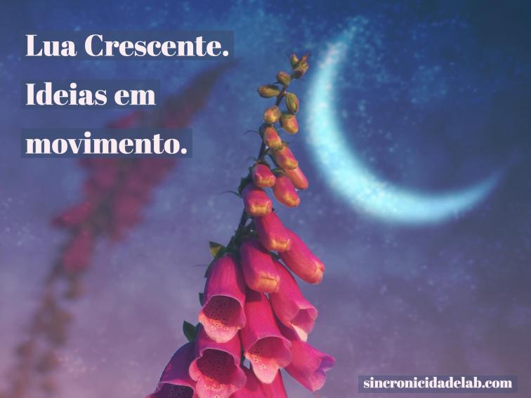 Lua Crescente
