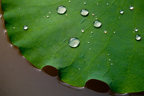 2631927427_3e34c95895